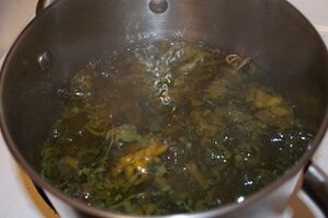 лечење проширених вена децокцијама